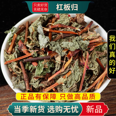 甄选杠板归100克河白草蛇倒退蛇不过梨头刺新货杠板归9260