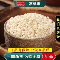 甄选高粱米100克新米五谷杂粮黏高粱米干货另售白藜麦9260