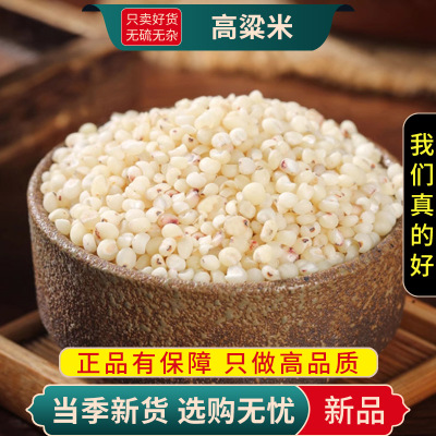 甄选高粱米100克新米五谷杂粮黏高粱米干货另售白藜麦9260