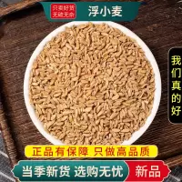 甄选浮小麦茶100克浮水小麦茶小麦干货另售黄芪酸枣仁9260