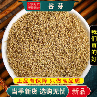 谷芽100克干货正品生谷芽煮水泡另售陈皮稻芽麦芽山楂9260