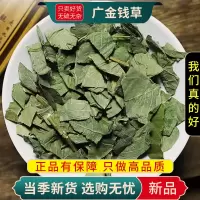 广金钱草100克干货正品新货广金钱草大叶金钱草金钱草9260