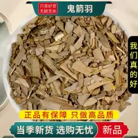 鬼箭羽100克干货新货鬼箭羽含杆带杆鬼箭羽正品鬼箭羽9260