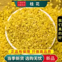 甄选桂花100克干花正品新货干桂花金桂新花另售玫瑰花9260