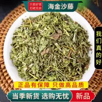 甄选海金沙藤100克干货扫把藤天仙草金沙藤另售金钱草9260