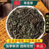 甄选旱莲草100克干货正品货莲子草墨旱莲另售当归枸杞9260