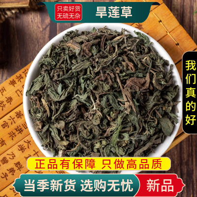 甄选旱莲草100克干货正品货莲子草墨旱莲另售当归枸杞9260