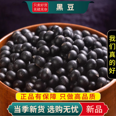 甄选绿芯心黑豆100克大粒绿黄五谷杂粮另售红赤小红芸9260
