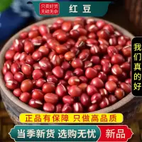 甄选红豆100克红豆五谷杂粮新货杂豆五谷杂粮粗粮红豆9260
