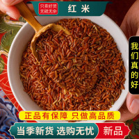 甄选红米100克货正品五谷杂粮红糙米粗粮食稻米红香米9260