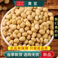 甄选黄豆100克五谷杂粮粗粮榨豆浆黄豆另售黑豆赤小豆9260