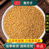 甄选黄芥子100克正品干货芥菜籽黄芥籽粒芥末子芥茉子9260