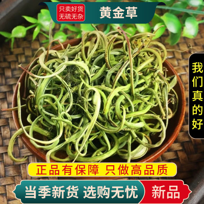 甄选黄金草100克干货正品新货官方店黄金草化石草茶叶9260