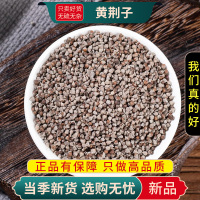 甄选黄荆子100克干货正品新货煮水泡茶黄黄荆子布荆仁9260