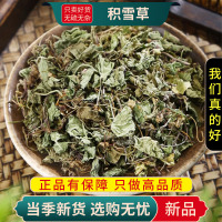 甄选积雪草100克干货地钱草崩大碗马蹄草雷公根蚶壳草9260