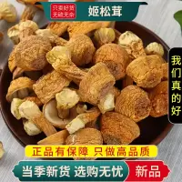 甄选姬松茸100克干货正品新货松茸菌菌菇另售当归党参9260