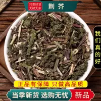 甄选荆芥100克生荆介荆芥新货土大叶干荆芥草煮水泡茶9260