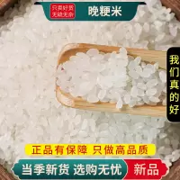 甄选粳米100克粳米煮粥梗晚稻大米另售赤小豆红豆黑米9260