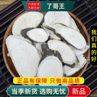 甄选了哥王100克正品地棉根山豆了九信草全草了哥王根9260