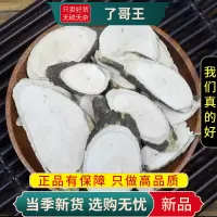 甄选了哥王100克正品地棉根山豆了九信草全草了哥王根9260