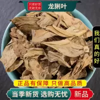 甄选龙脷叶100克正品货晒干龙利叶龙舌叶龙味叶牛耳叶9260