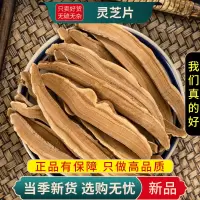 甄选灵芝片100克切片正品灵芝养生茶泡水酒林芝斗龙芝9260
