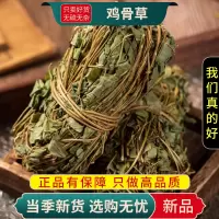 甄选鸡骨草100克干货新货大黄草干货新货正品鸡骨草9260