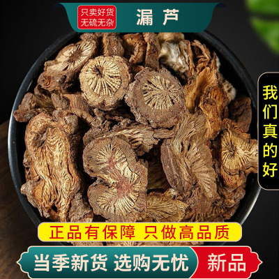甄选漏芦100克干正品货漏芦根片别名狼头花野兰鬼油麻9260