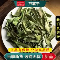 甄选芦荟干100克干货正品货芦荟干片泡茶另售菊花枸杞9260