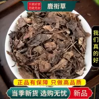 甄选鹿衔草100克新货鹿蹄草大肺筋草正另售白芍马鞭草9260