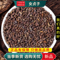 甄选女贞子100克干货正品新货冬青子泡水泡酒另售黄精9260