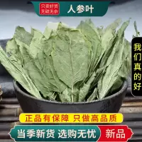甄选人参叶100克山参叶山参正品参叶煮水泡茶另售麦冬9260