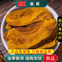 甄选桑黄100克干货正品新货小努灵芝煮水泡茶另售人参9260