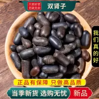 甄选双肾子100克煮水泡泡酒双肾子另售人参杜仲肉苁蓉9260