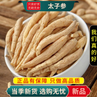 甄选太子参100克煮水泡茶太子参煲汤麦冬煲汤另售麦冬9260