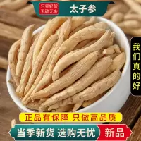 甄选太子参100克煮水泡茶太子参煲汤麦冬煲汤另售麦冬9260