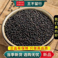 甄选王不留行100克正品货王不留行籽另售大通草路路通9260