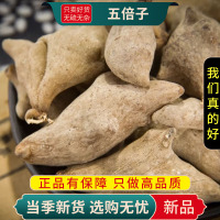 甄选五倍子100克干货煮水盐肤木红叶桃五倍子正品无硫9260
