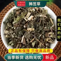 甄选豨签草100克正品货煮水稀见草豨签草豨见草西茜草9260