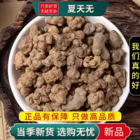 甄选夏天无100克夏正品货煮水泡茶天无另售怀牛膝独活9260