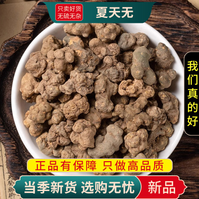 甄选夏天无100克夏正品货煮水泡茶天无另售怀牛膝独活9260