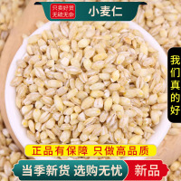 甄选新货小麦仁100克带胚芽去皮小麦粒煮粥杂粗粮家用9260