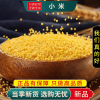 米香油厚黄小米100克米农家粘糯米粗粮杂粮黄金小米粥9260