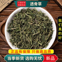 甄选透骨草100克干货煮水透骨草珍珠透骨草另售威灵仙9260