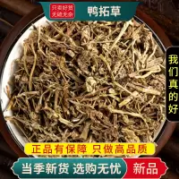 甄选鸭跖草100克正品货煮水鸭舌草鸭拓草碧竹子翠蝴蝶9260