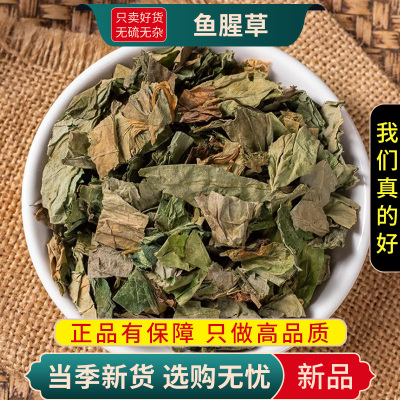 甄选鱼腥草100克蝇草狗贴耳臭菜岑草蕺菹菜紫背鱼腥草9260