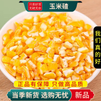 甄选玉米碴子100克玉米糁五谷杂粮笨苞米玉米碎粒煲粥9260