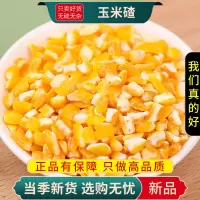 甄选玉米碴子100克玉米糁五谷杂粮笨苞米玉米碎粒煲粥9260