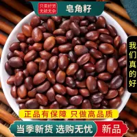 甄选皂角籽100克干货正品皂荚籽皂籽新货皂角子皂角核9260