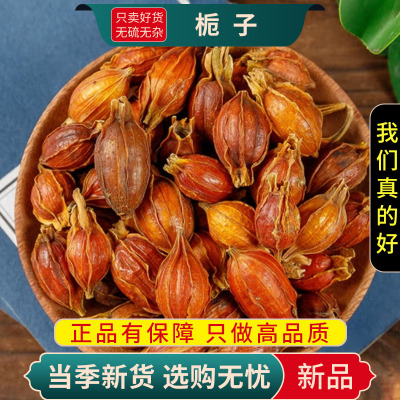 甄选栀子100克干货正品货黄果子黄栀山栀子水栀子无硫9260